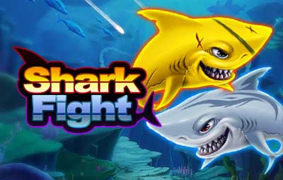 Shark Fight